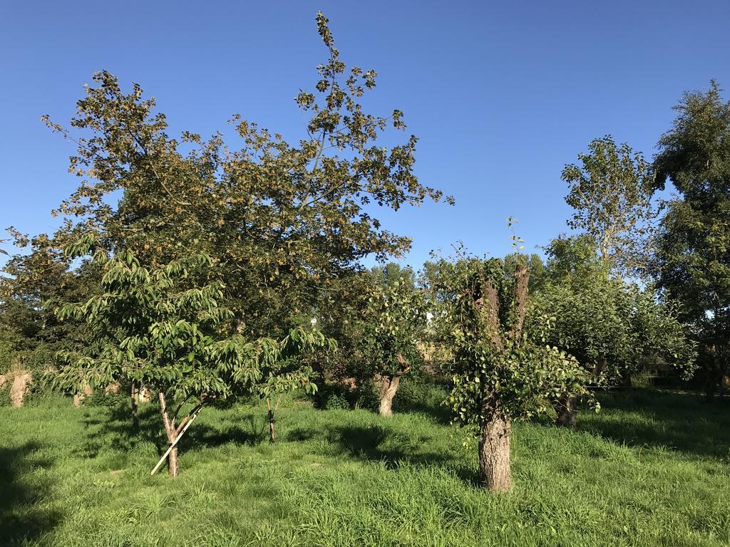 Apple Cottage Vejby Ngoại thất bức ảnh